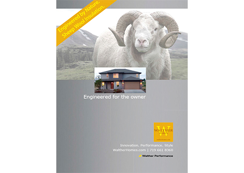 advertising drives traffic to your website