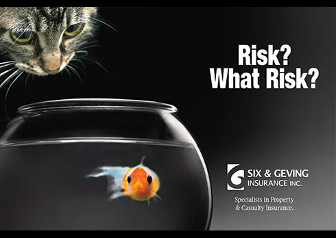 drive traffic to your website